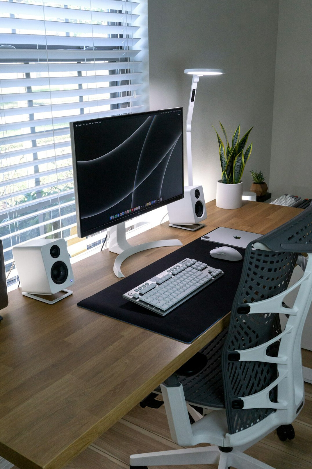 Modern minimalist office workspace with desks and plants